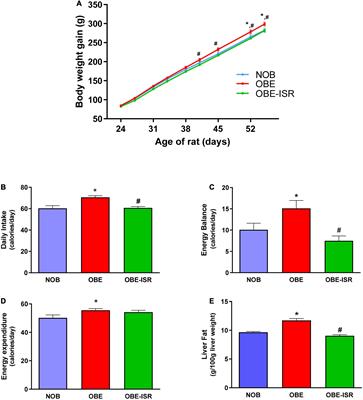 Quality More Than Quantity: The Use of Carbohydrates in High-Fat Diets to Tackle Obesity in Growing Rats